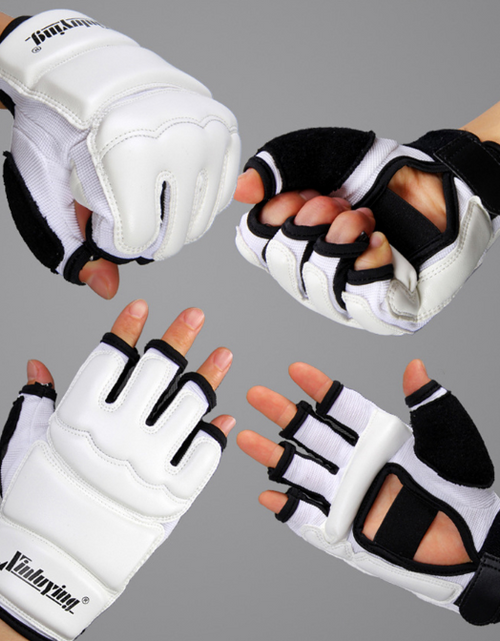 Load image into Gallery viewer, Taekwondo Gloves and Foot Protection
