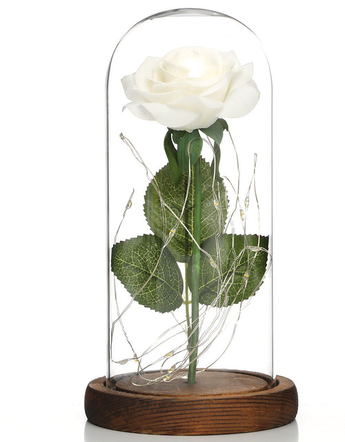 Load image into Gallery viewer, Glass Shade Rose Lamp
