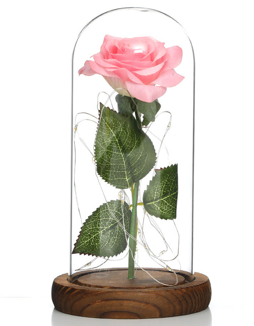 Load image into Gallery viewer, Glass Shade Rose Lamp
