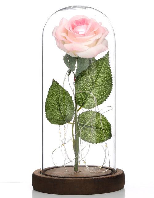 Load image into Gallery viewer, Glass Shade Rose Lamp
