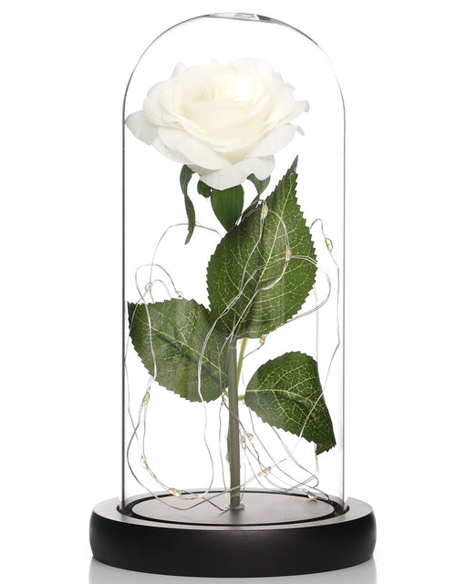 Load image into Gallery viewer, Glass Shade Rose Lamp
