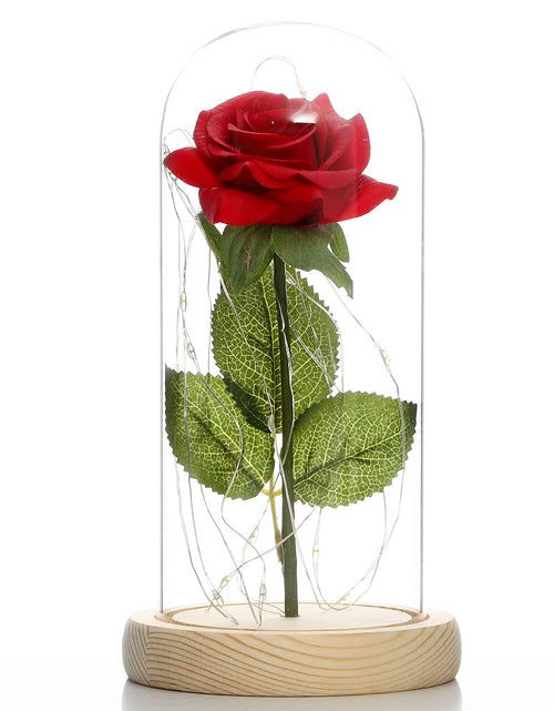 Load image into Gallery viewer, Glass Shade Rose Lamp
