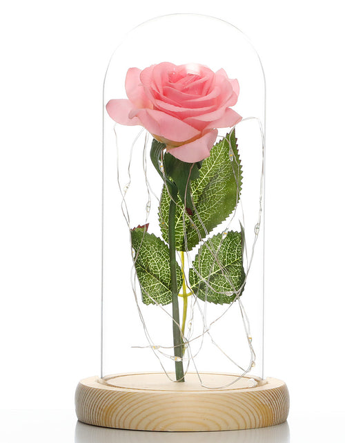 Load image into Gallery viewer, Glass Shade Rose Lamp
