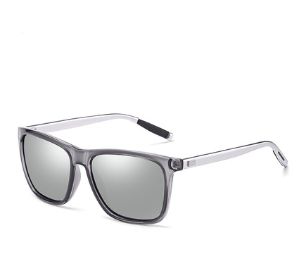 Square Sunglasses