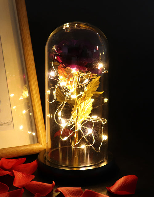 Load image into Gallery viewer, Glass Shade Rose Lamp
